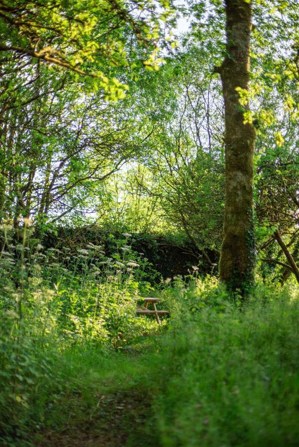 Ardnavaha House - Poolside Cottages Clonakilty Bagian luar foto