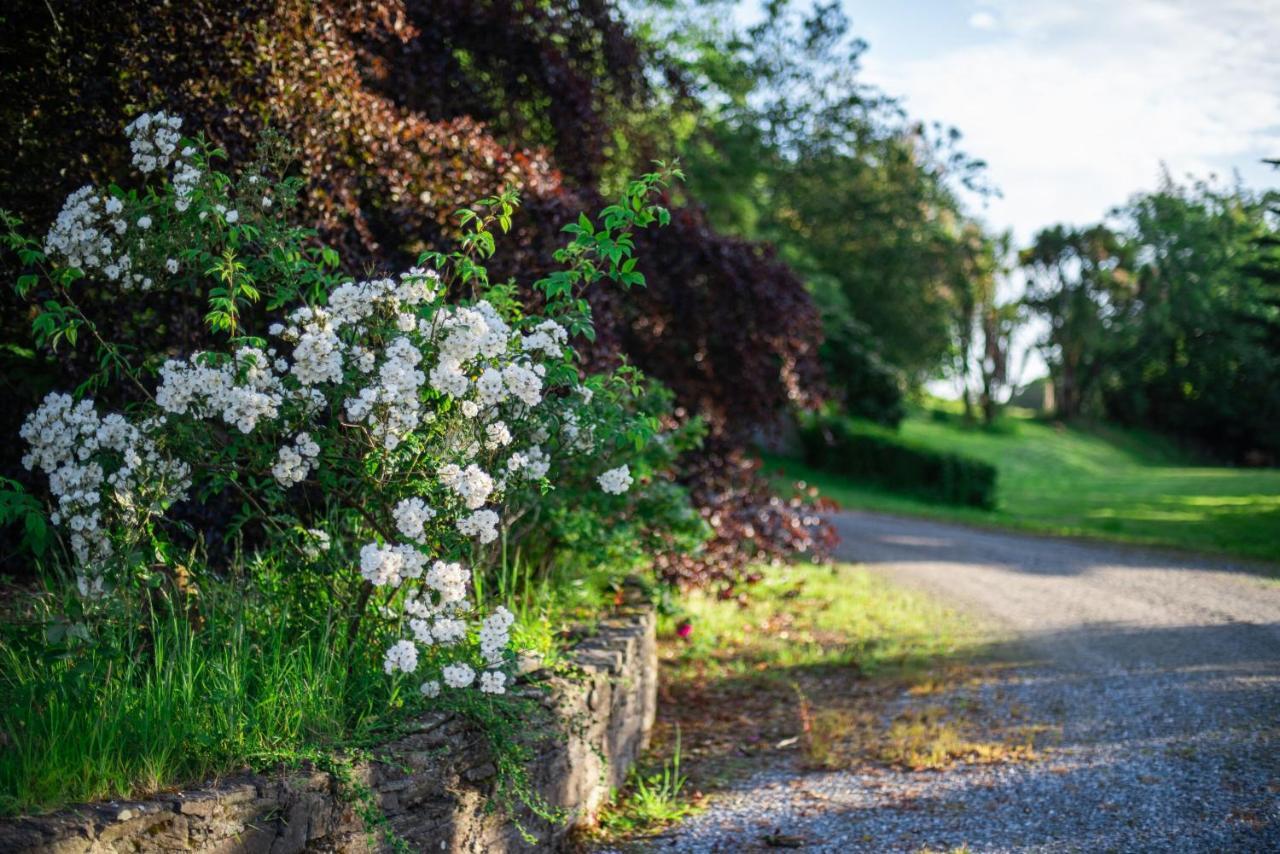 Ardnavaha House - Poolside Cottages Clonakilty Bagian luar foto